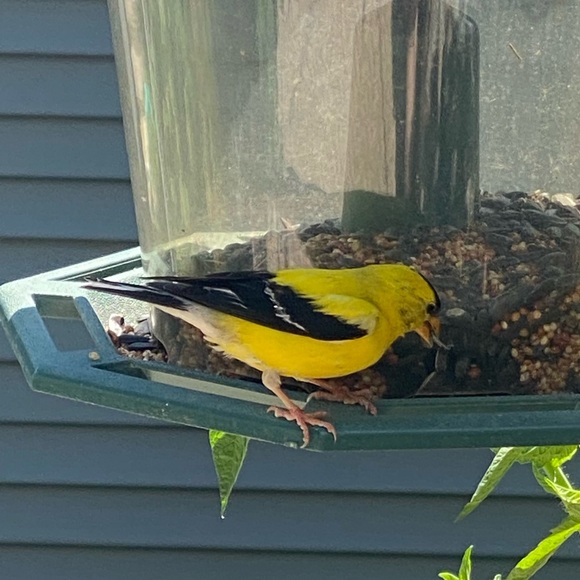 For What It’s Worth~Iam Yaya👵The80sHippie✌️ Living MyVerdade🙏 - Picture 13 of 16